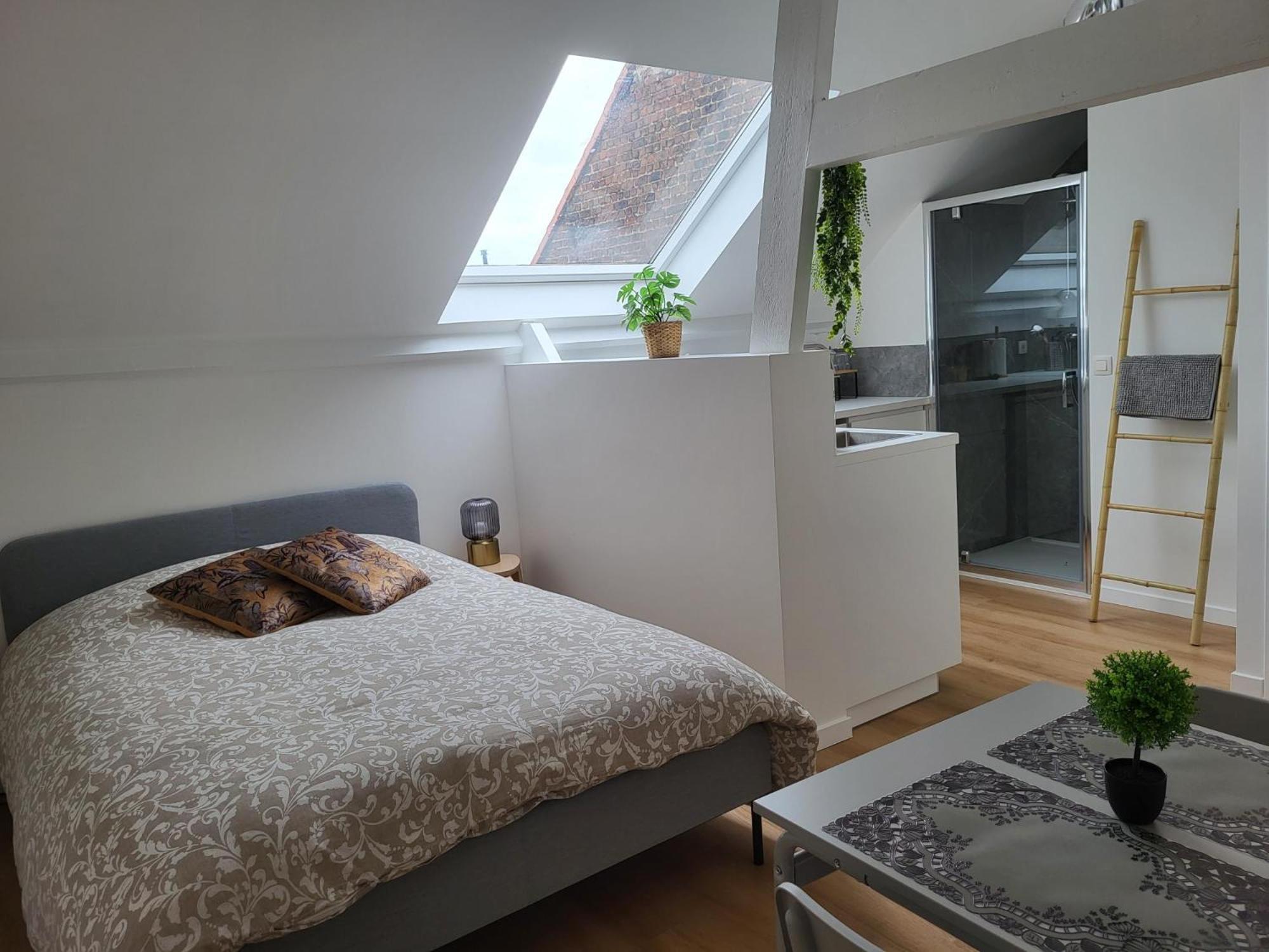 Charmante Maison Idéalement Située Etterbeek